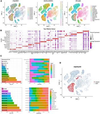 Characterizing ligand-receptor interactions and unveiling the pro-tumorigenic role of CCL16-CCR1 axis in the microenvironment of hepatocellular carcinoma